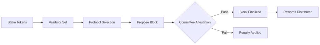 Proof of stake flow: stake tokens through validator selection to block finalization and reward distribution